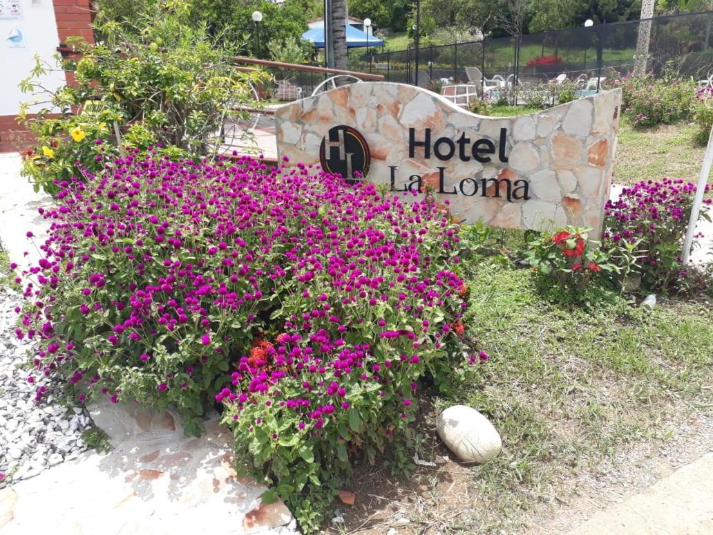 Hotel Campestre La Loma Куріті Екстер'єр фото